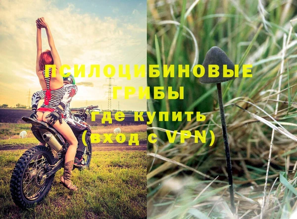 герыч Новозыбков