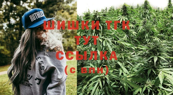 гидра Новокубанск